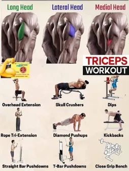 Tricep Dips